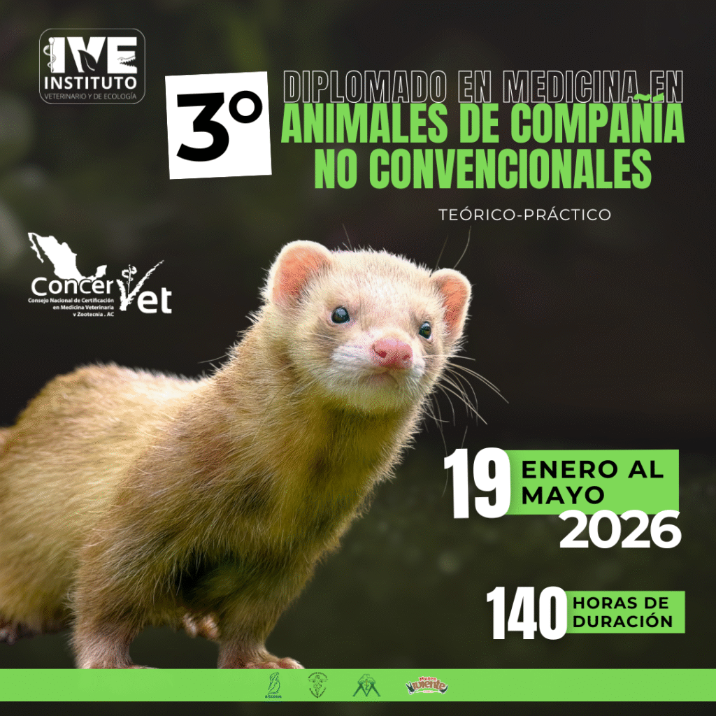 3°_diplomado_medicina_no_convencionales_cuadrado 3° Diplomado en Medicina en Animales de Compañía No Convencionales