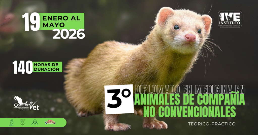 medicina_noconvencionales_banner2_02 3° Diplomado en Medicina en Animales de Compañía No Convencionales
