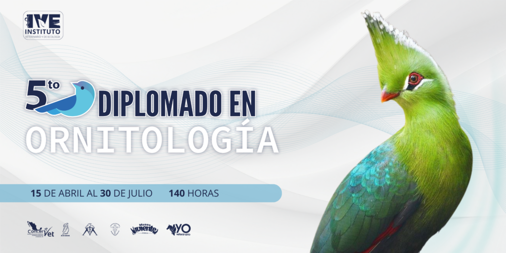 5°Diplomado en Ornitología
