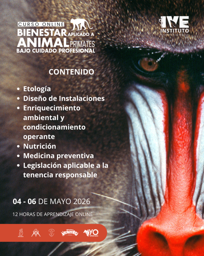 BA_primates_instacontenido2