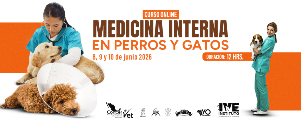 Curso Online: “Medicina Interna en Perros y Gatos”
