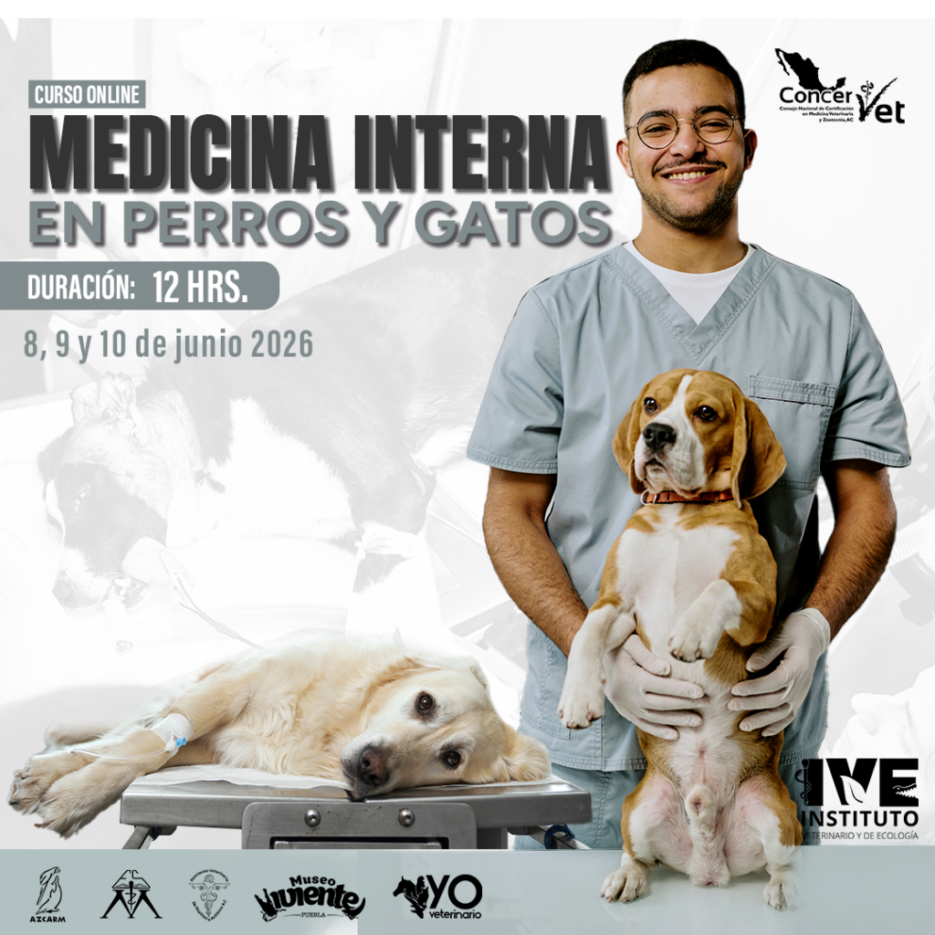Curso Online: “Medicina Interna en Perros y Gatos”