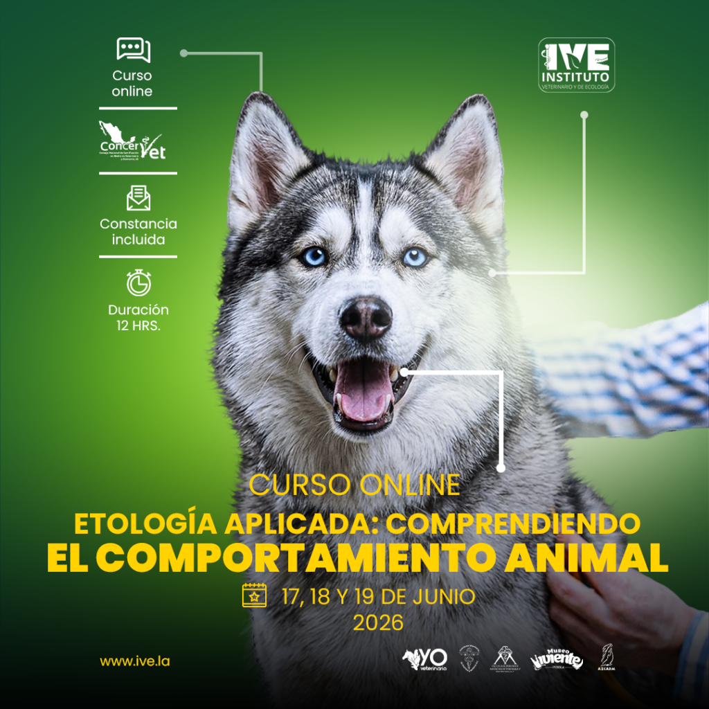 Curso Online: “ Etología Aplicada: Comprendiendo el Comportamiento Animal” 